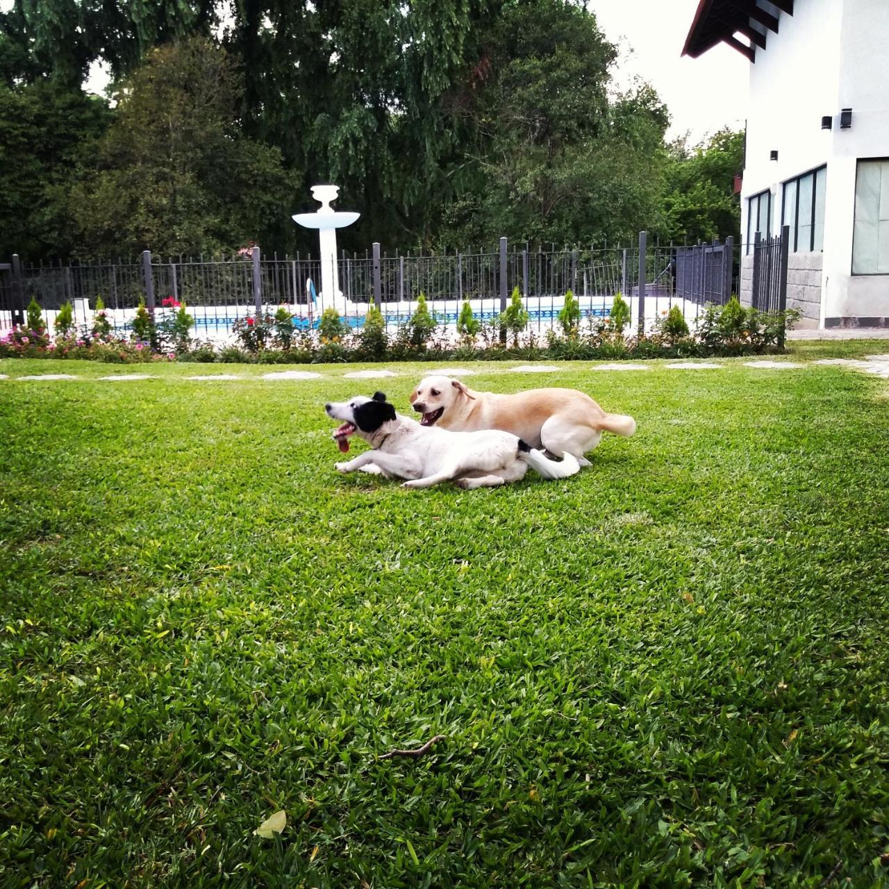 Rancho Grande Hotel Villa General Belgrano Dış mekan fotoğraf